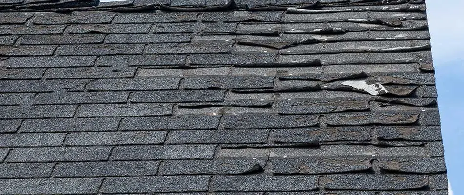 Damaged shingles on a home's roof in Wesley Chapel, FL.