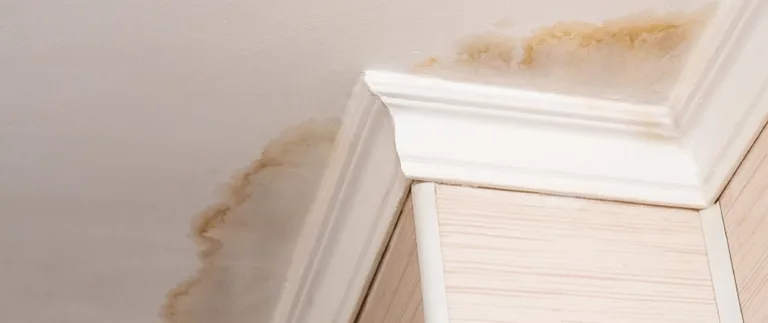 Why You Need to Fix Your Leaky Roof Now