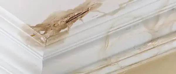 Interior ceiling stain from a roof leak in Davenport, FL